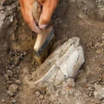 Ancient Building Hidden Thousands Of Years Discovered Under A French Parking Lot