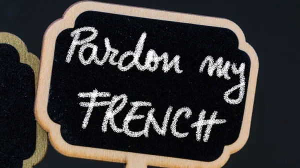¿De dónde proviene la expresión Pardon my French?