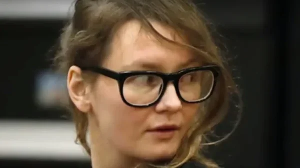 ¿Realmente Anna Delvey robó un avión?