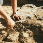 Descubren en Escocia una rueda del Edad del Hierro de 2200 años, la primera en su tipo