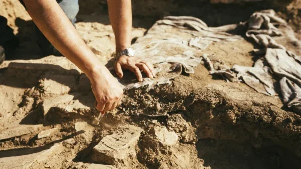 Descubren en Escocia una rueda del Edad del Hierro de 2200 años, la primera en su tipo