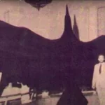 Este es el ave más grande que ha existido