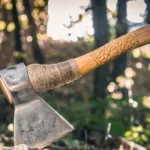 ¿Qué le sucedió a la hermana de Lizzie Borden?