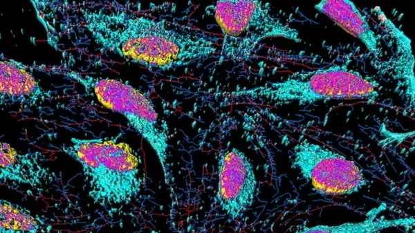 La controvertida verdad sobre Henrietta Lacks