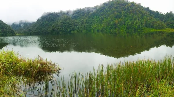 La ciudad perdida de la Amazonia no estaba tan perdida: lo que revela de verdad el valle de Upano