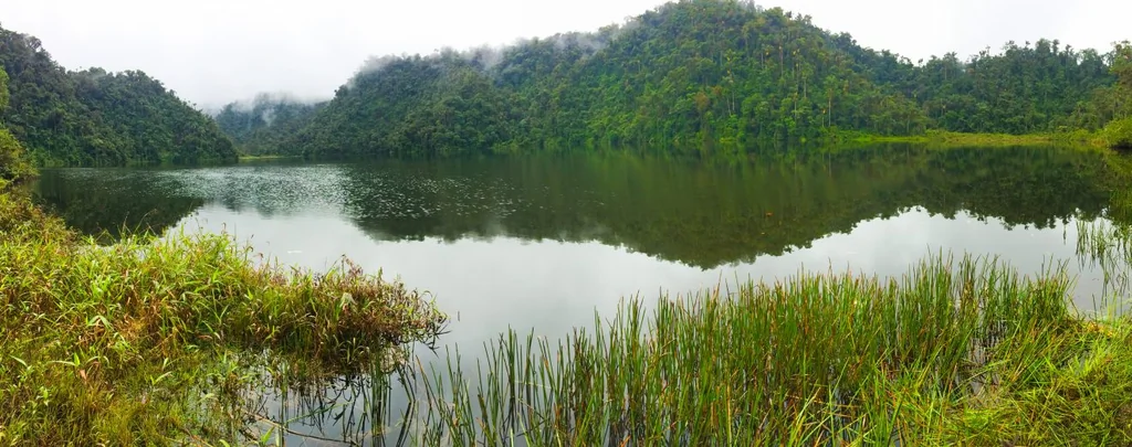 La ciudad perdida de la Amazonia no estaba tan perdida: lo que revela de verdad el valle de Upano