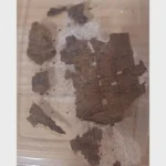 Fragmentos del papiro vinculados al hallazgo de la Ilíada en Oxirrinco