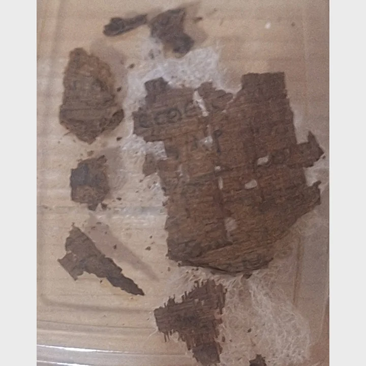 Fragmentos del papiro vinculados al hallazgo de la Ilíada en Oxirrinco