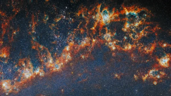 Detalle de un brazo espiral de la galaxia M51 con regiones de formación estelar observadas por Webb y Hubble