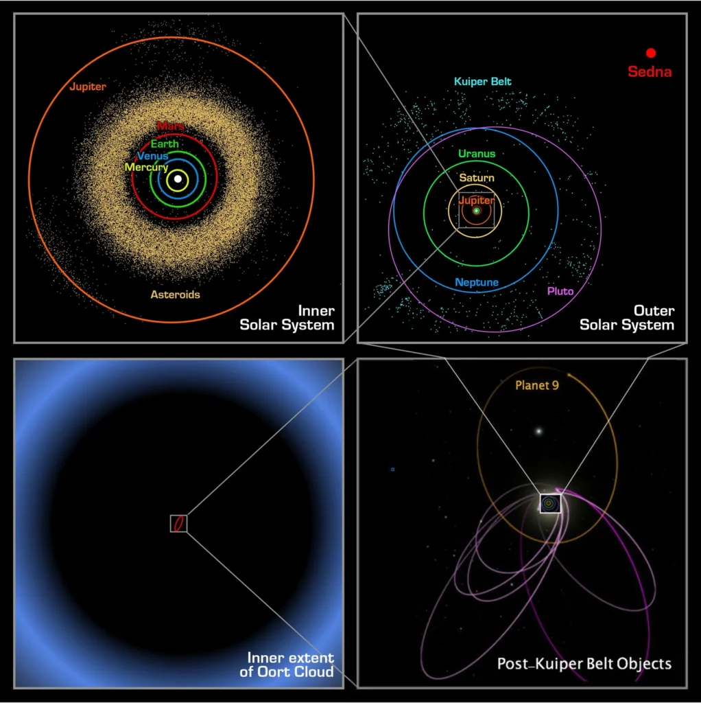 Ilustracion institucional de Caltech que muestra la orbita de Sedna y la orbita propuesta del Planeta Nueve en el Sistema Solar exterior.