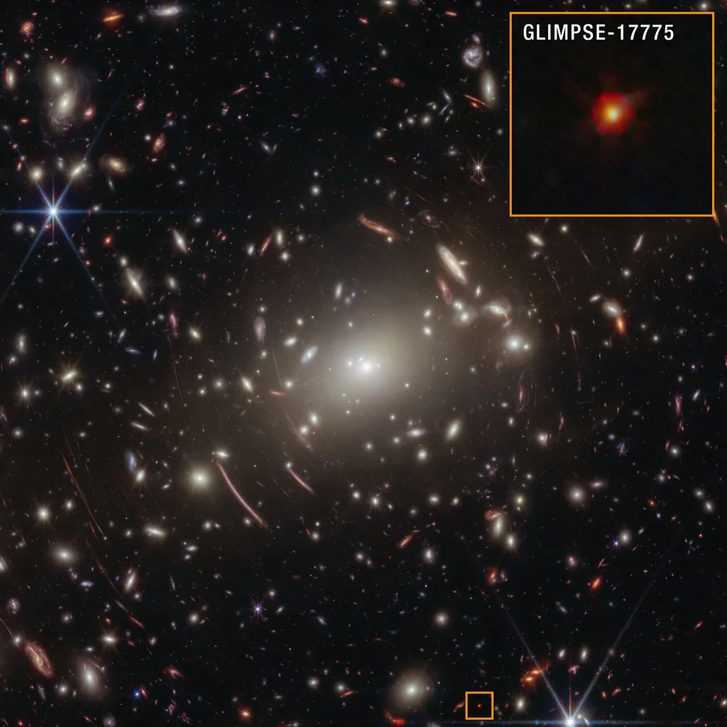 Imagen NIRCam anotada de GLIMPSE-17775 detrás del cúmulo de galaxias Abell S1063