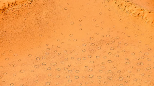 Vista aérea de círculos de hadas en Namibia