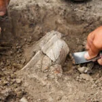 El enigmático Stone Cochno reenterrado para su protección